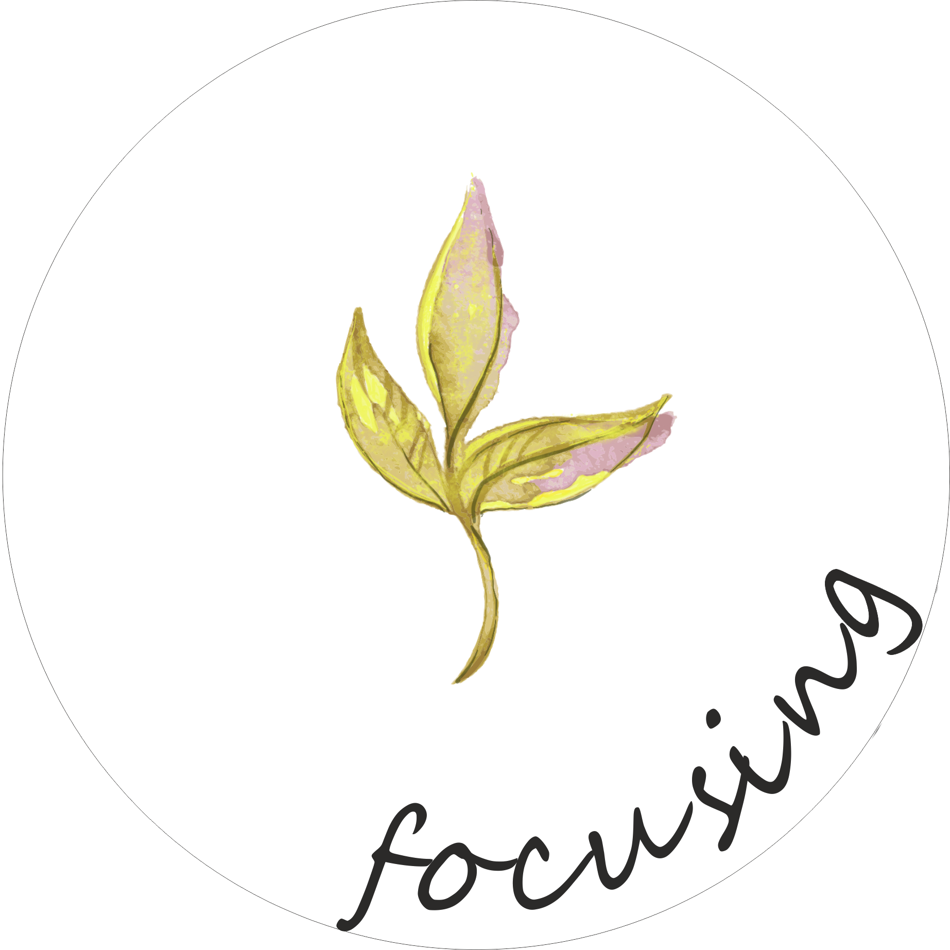 Focusing – Małgorzata Bochińska